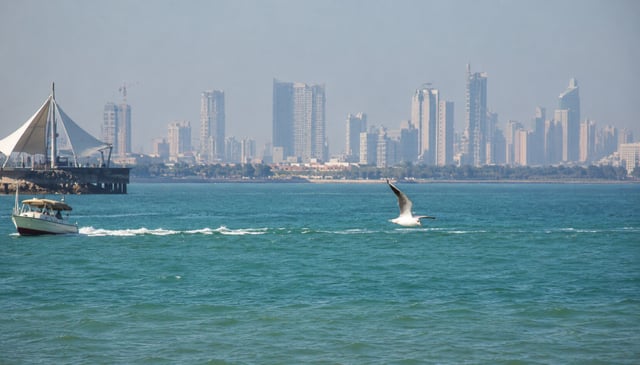 A bird flying over the sea in Failaka Island