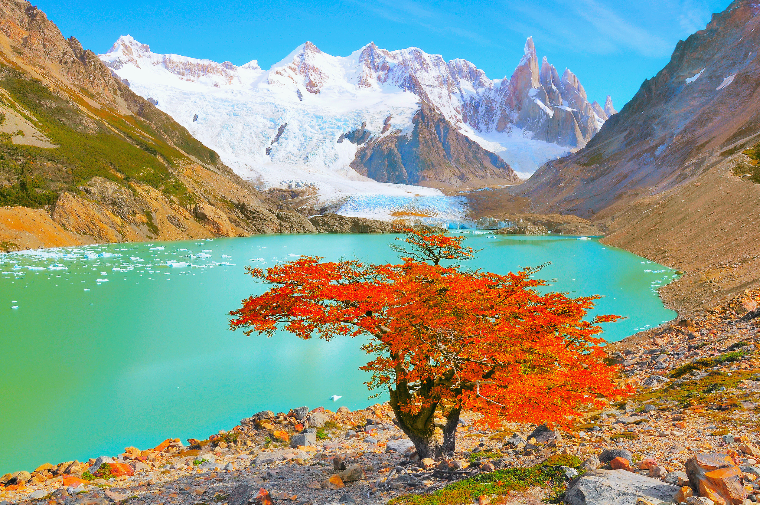 autumn tree by the lake near cerro torre mountain los glaciares national park argentina