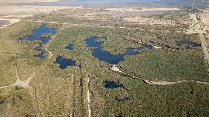  A Haven for Birdwatchers