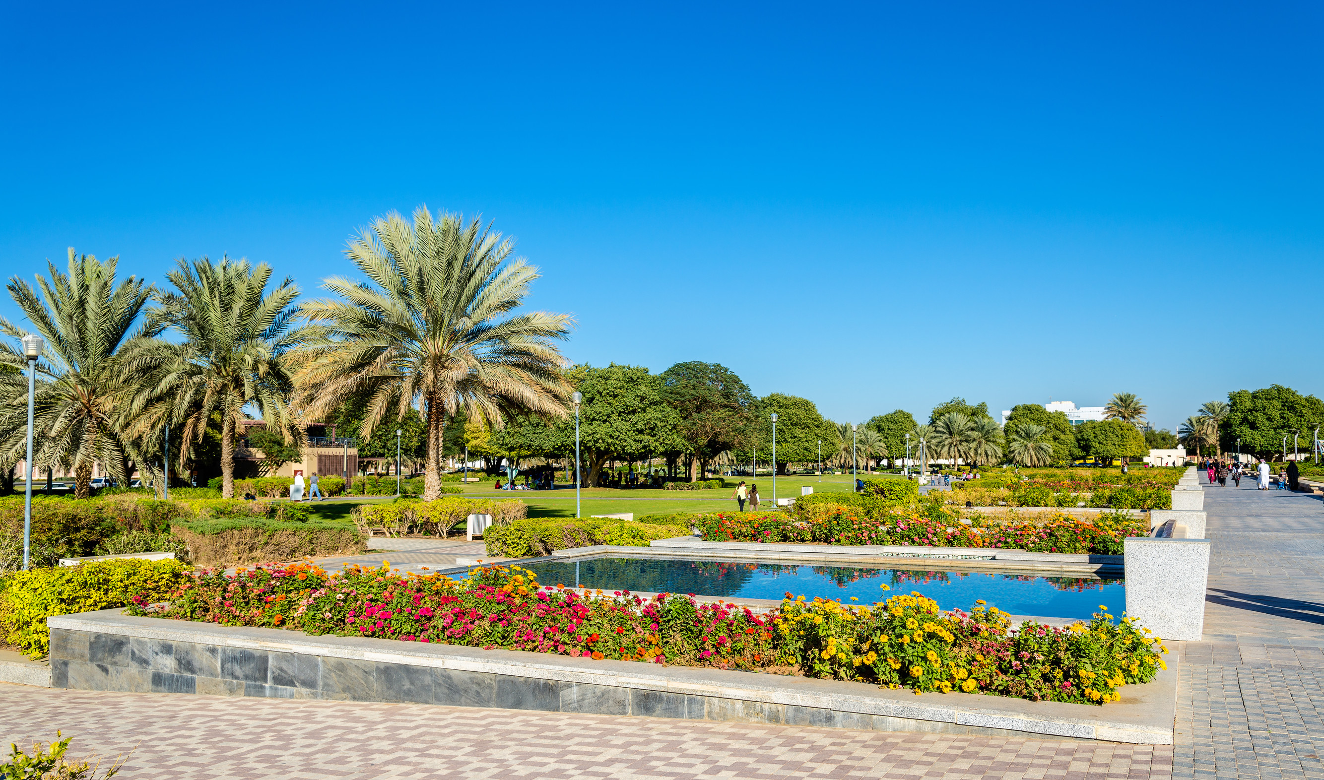 Discover the Greenery at the Kuwait Botanical Garden